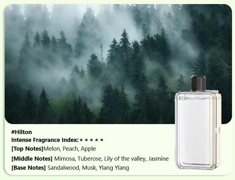 🔥Black Friday Sale: 55%! - Automatic Aromatherapy Diffuser