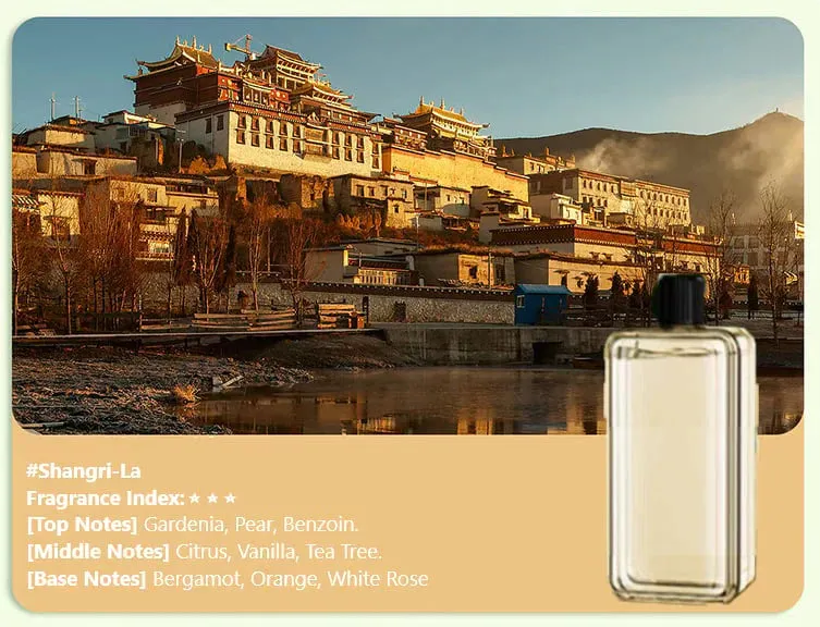 🎅Christmas Pre-Sale🎁Automatic Aromatherapy Diffuser