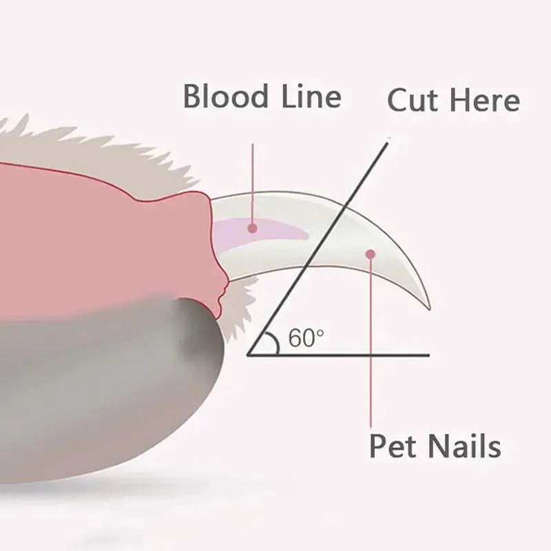 LED Pet Nail Clippers - Illuminate & Trim