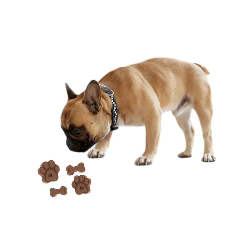 Talking Dog Club Treat Silicon Mould for Dogs (Orange)